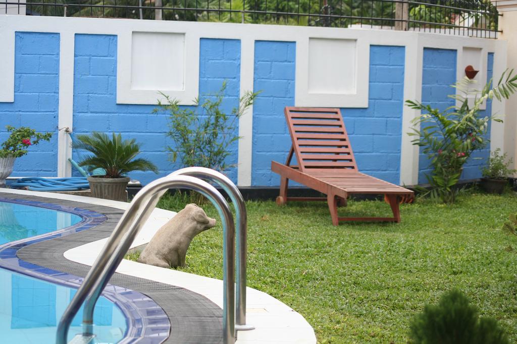 Serendib Guest House Νεγκόμπο Εξωτερικό φωτογραφία